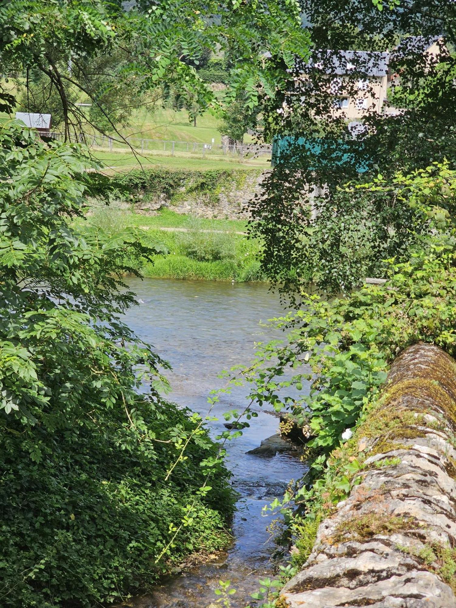 Riverrun Saint-Geniez-dʼOlt Extérieur photo